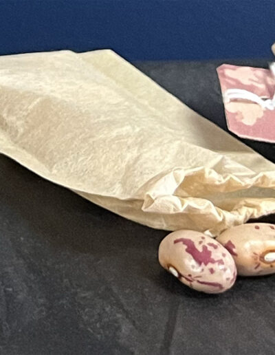Graines de poème